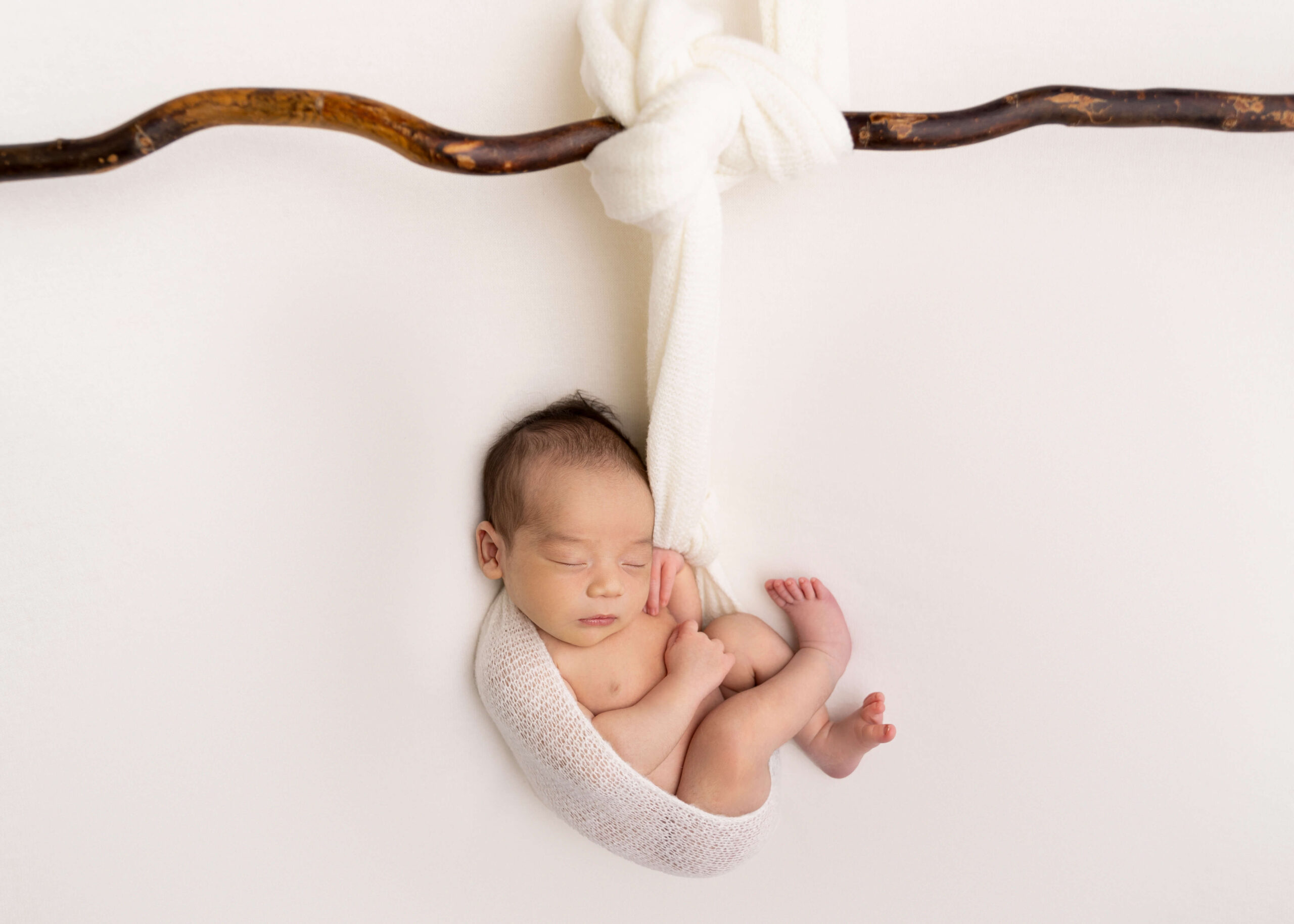 Baby posed in studio on beanbag hanging by a branch while being spotted by an assistant.